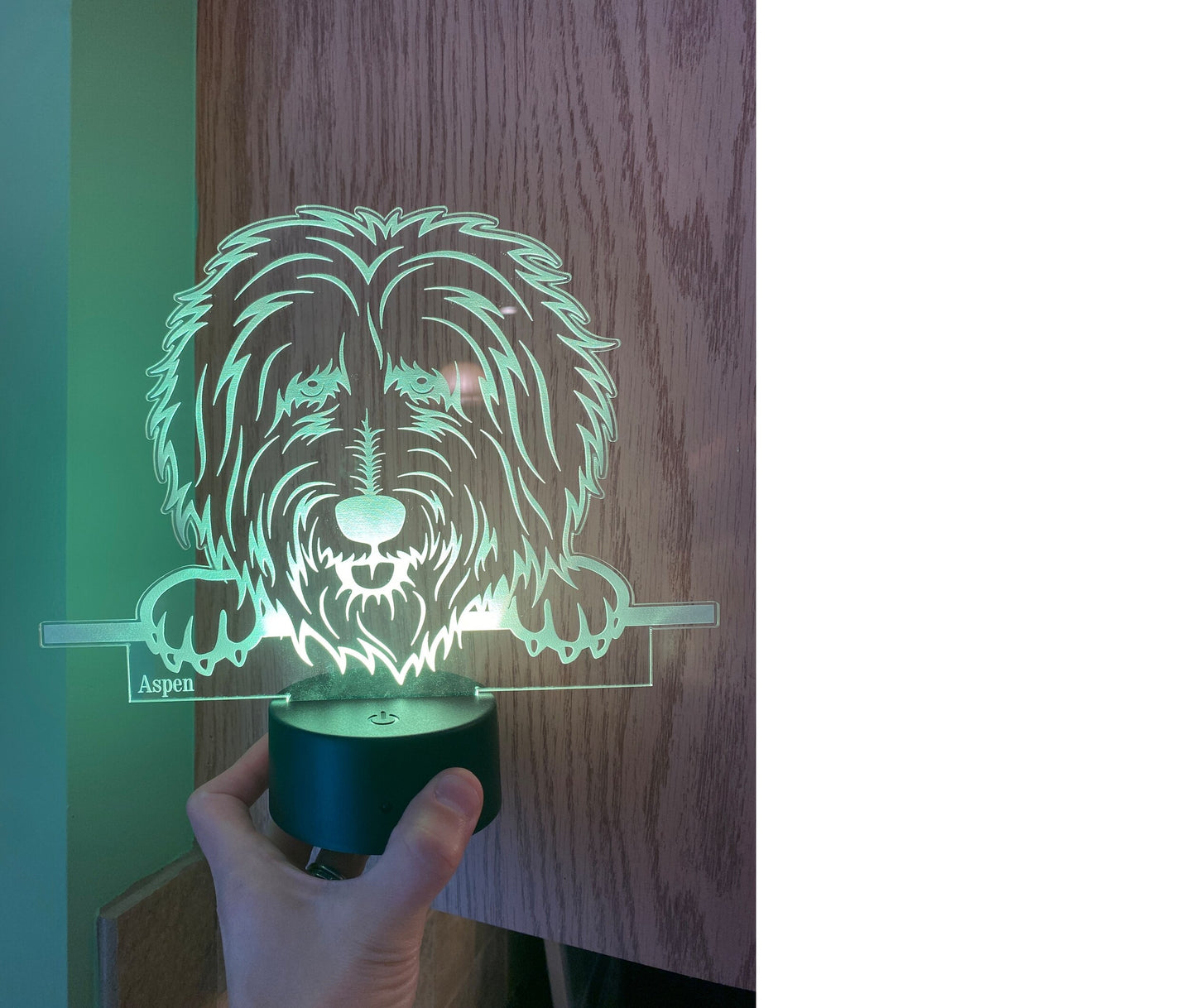 Personalized Dog Light up Acrylic with Led base