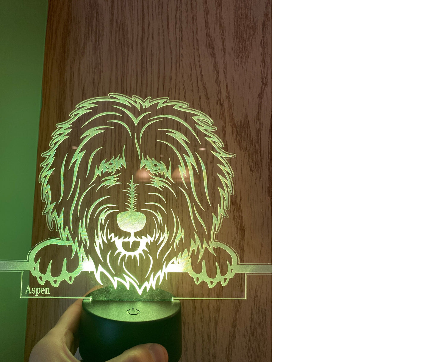 Personalized Dog Light up Acrylic with Led base